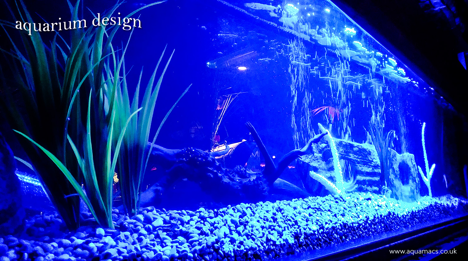 Aquarium Design UK